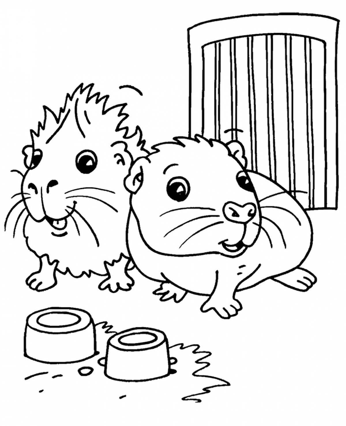 Live hamster in a cage coloring book