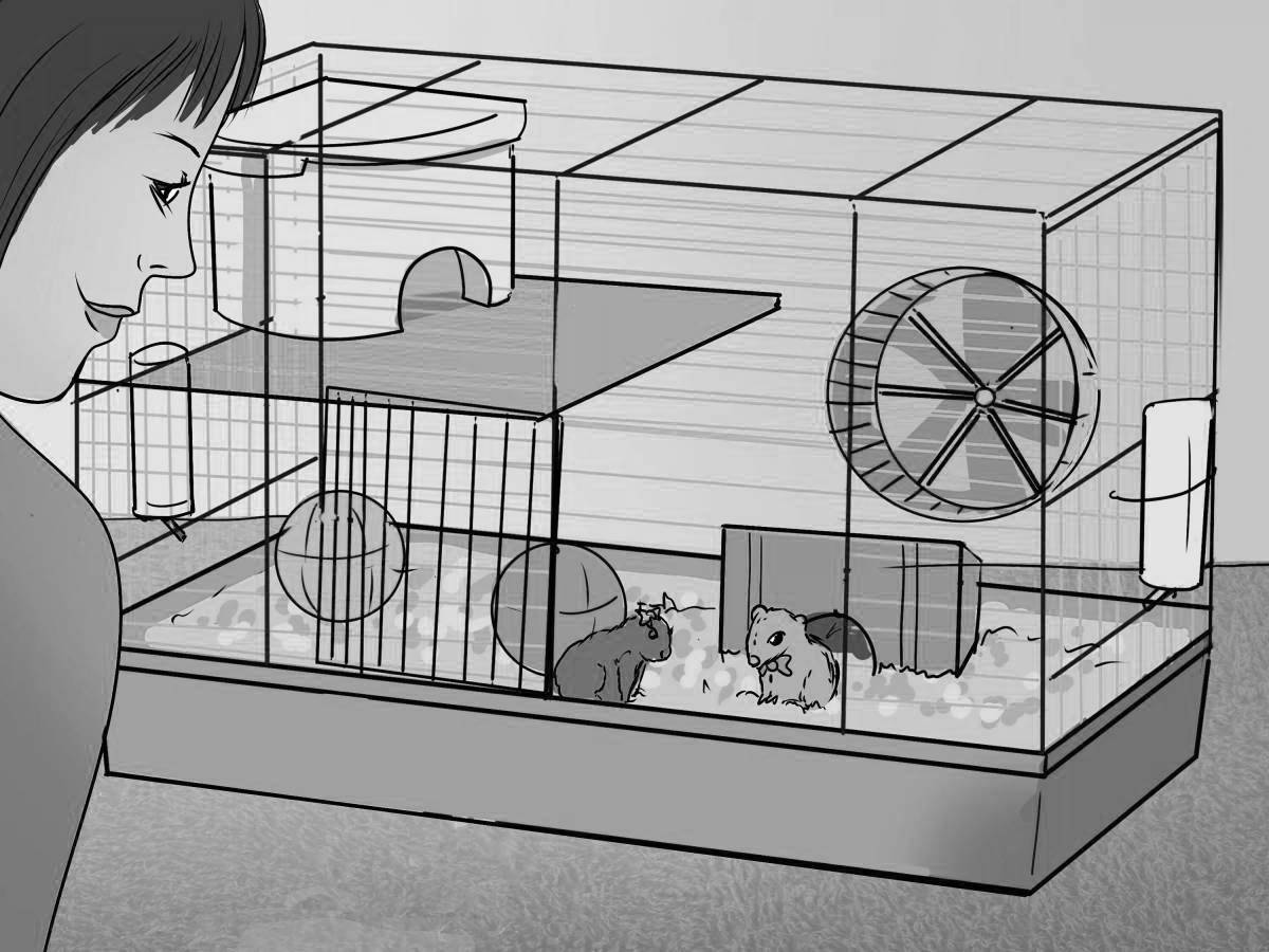 Coloring page cozy hamster in a cage