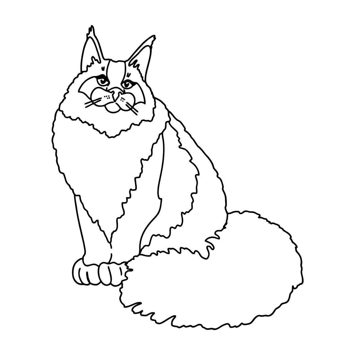 Очаровательная раскраска кошки мейн-кун