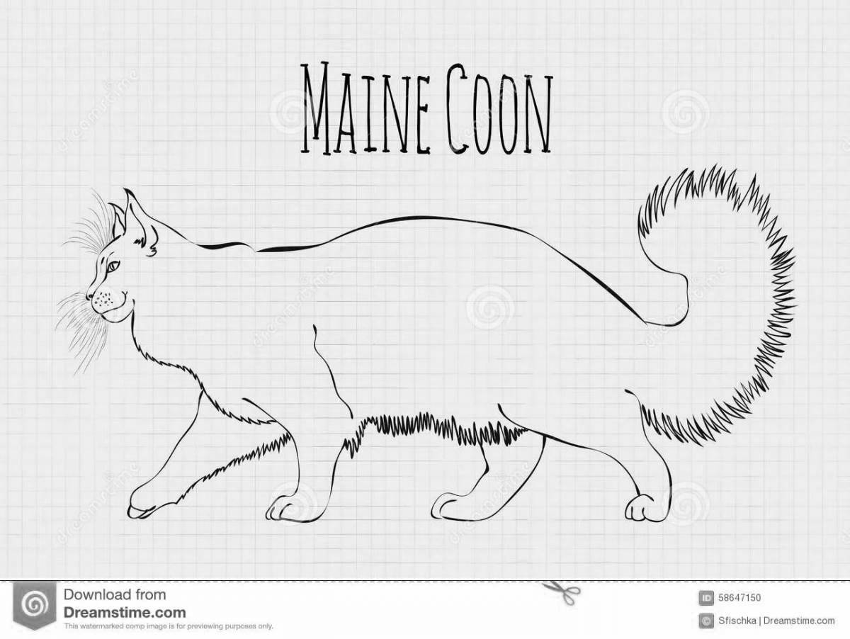 Coloring page fluffy Maine Coon cat