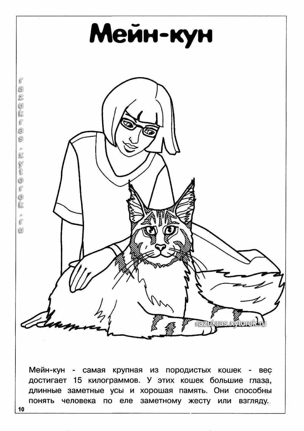 Coloring page adorable Maine Coon cat