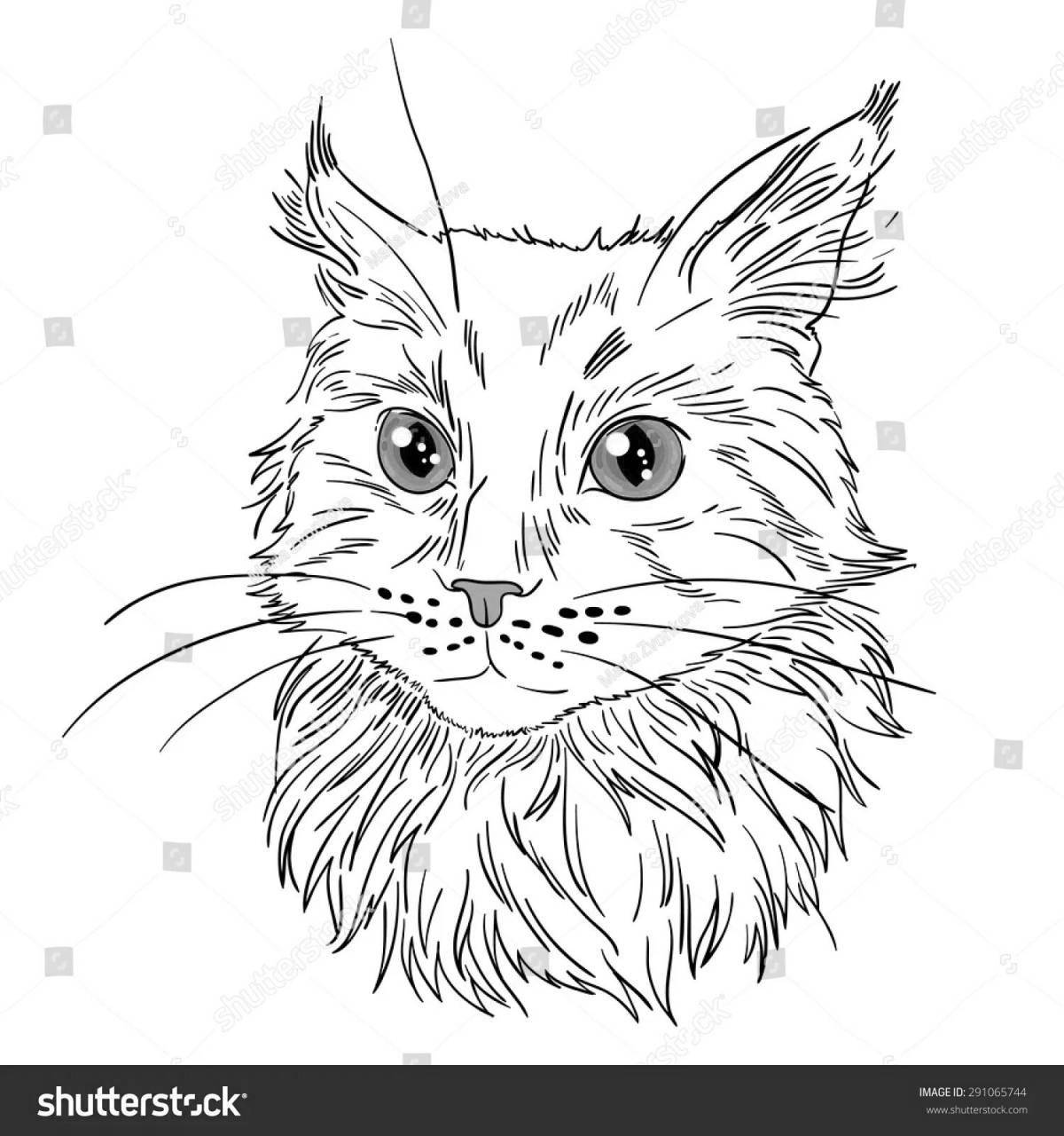 Завораживающая раскраска кошки мейн-кун