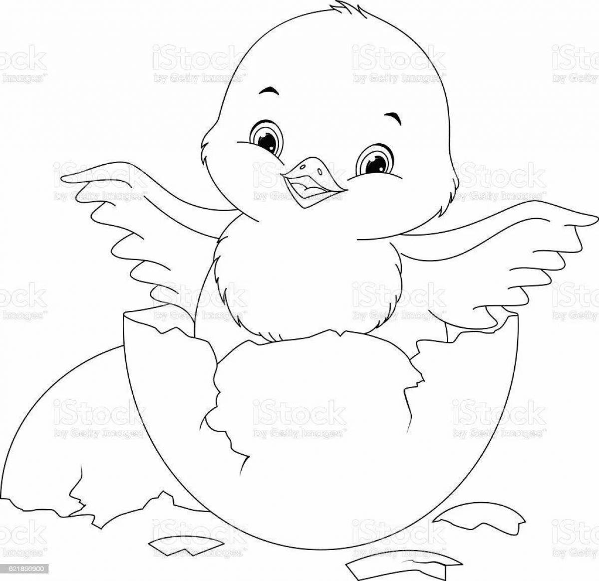 Colorful chick in shell coloring page