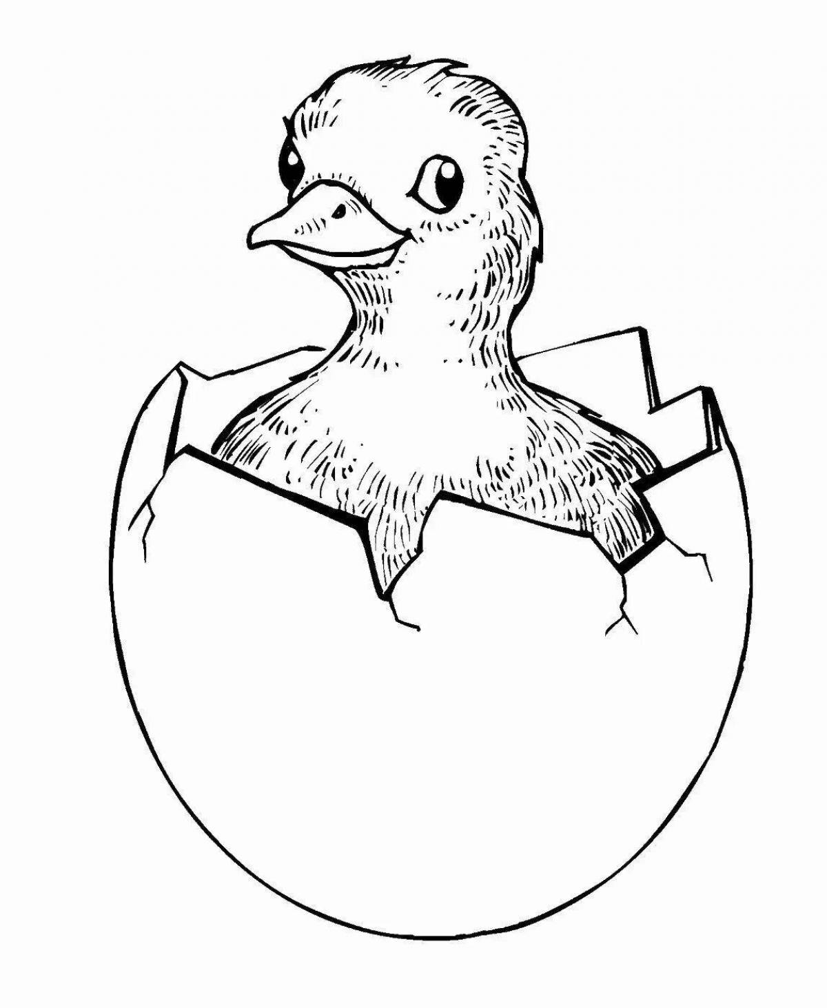 Coloring page happy chicken in shell