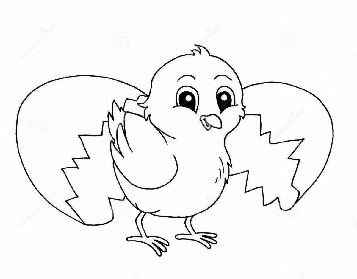 Animated chick in shell coloring page