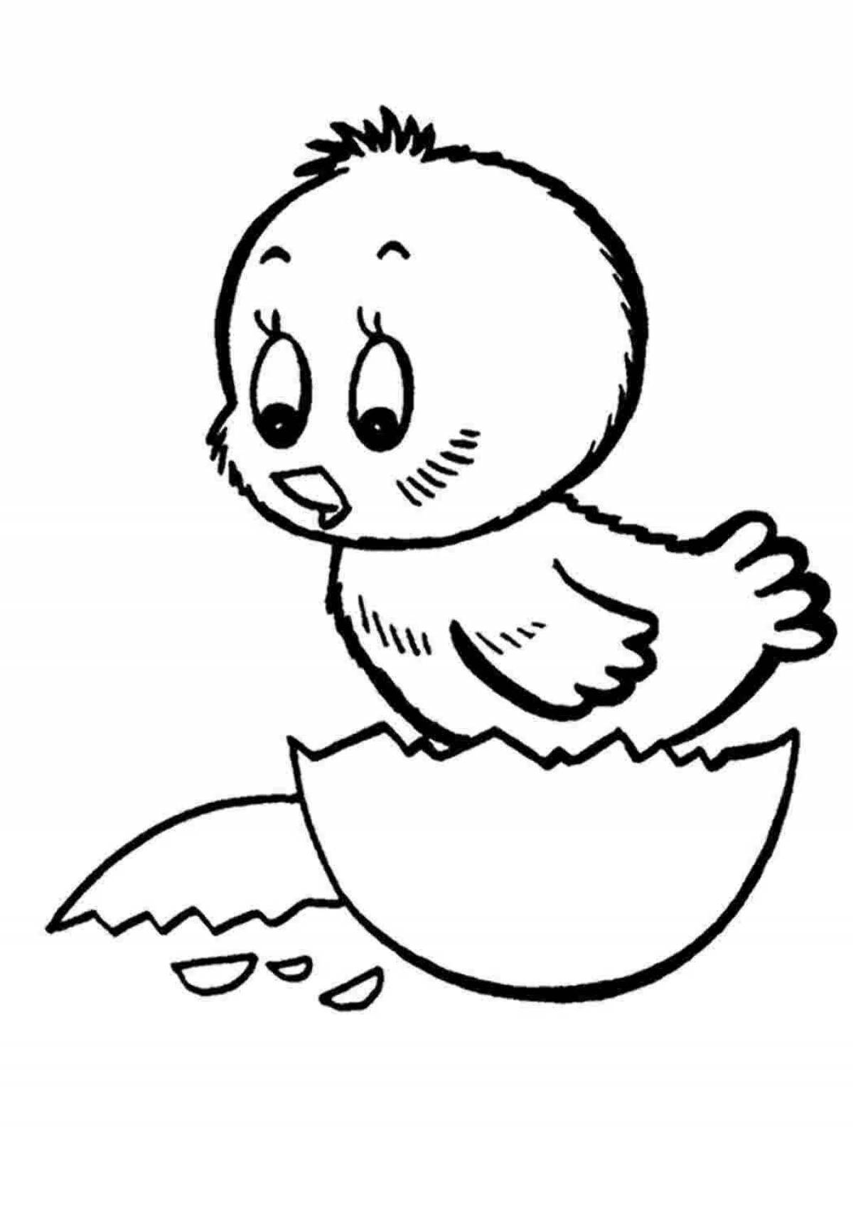 Coloring page shiny chicken in shell