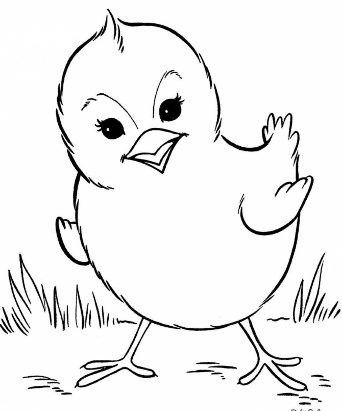 Majestic chicken in shell coloring page