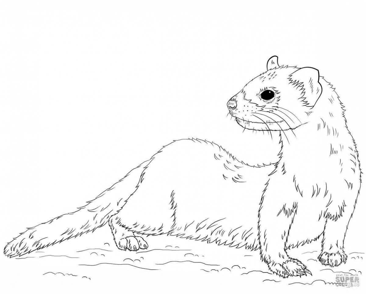 Joyful weasel coloring for children