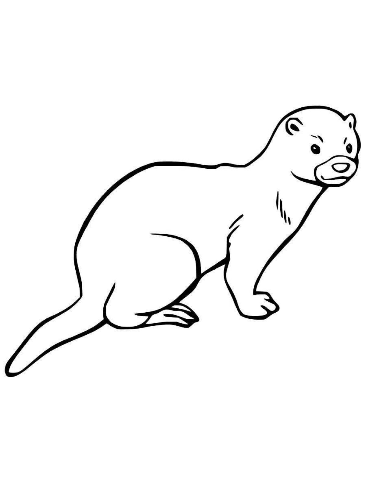 Great weasel coloring book for kids