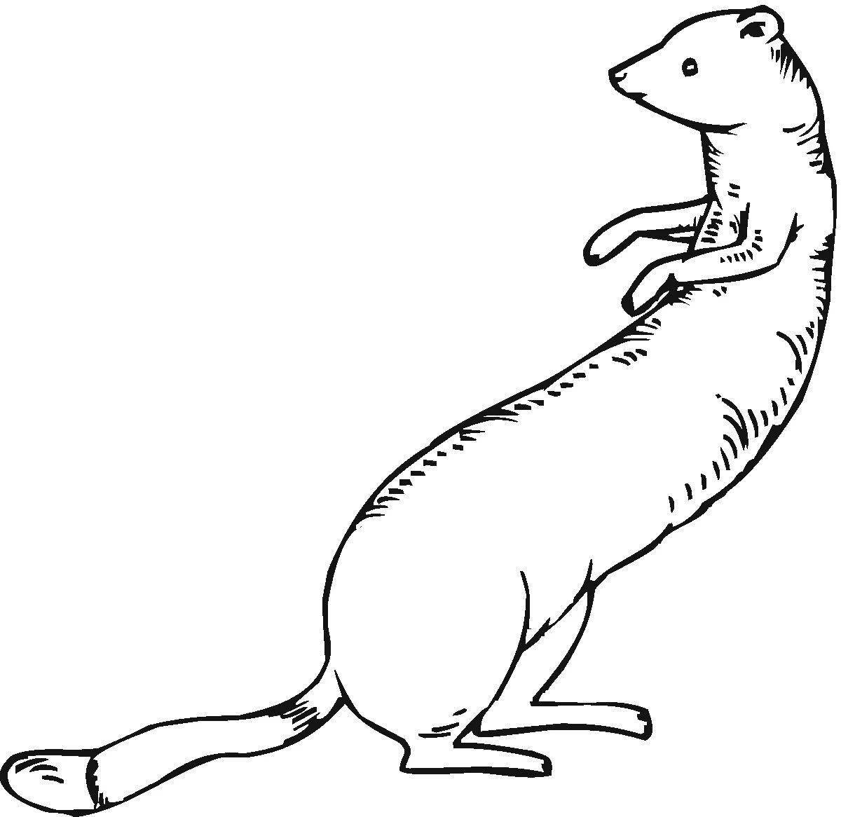 Fun coloring weasel for kids