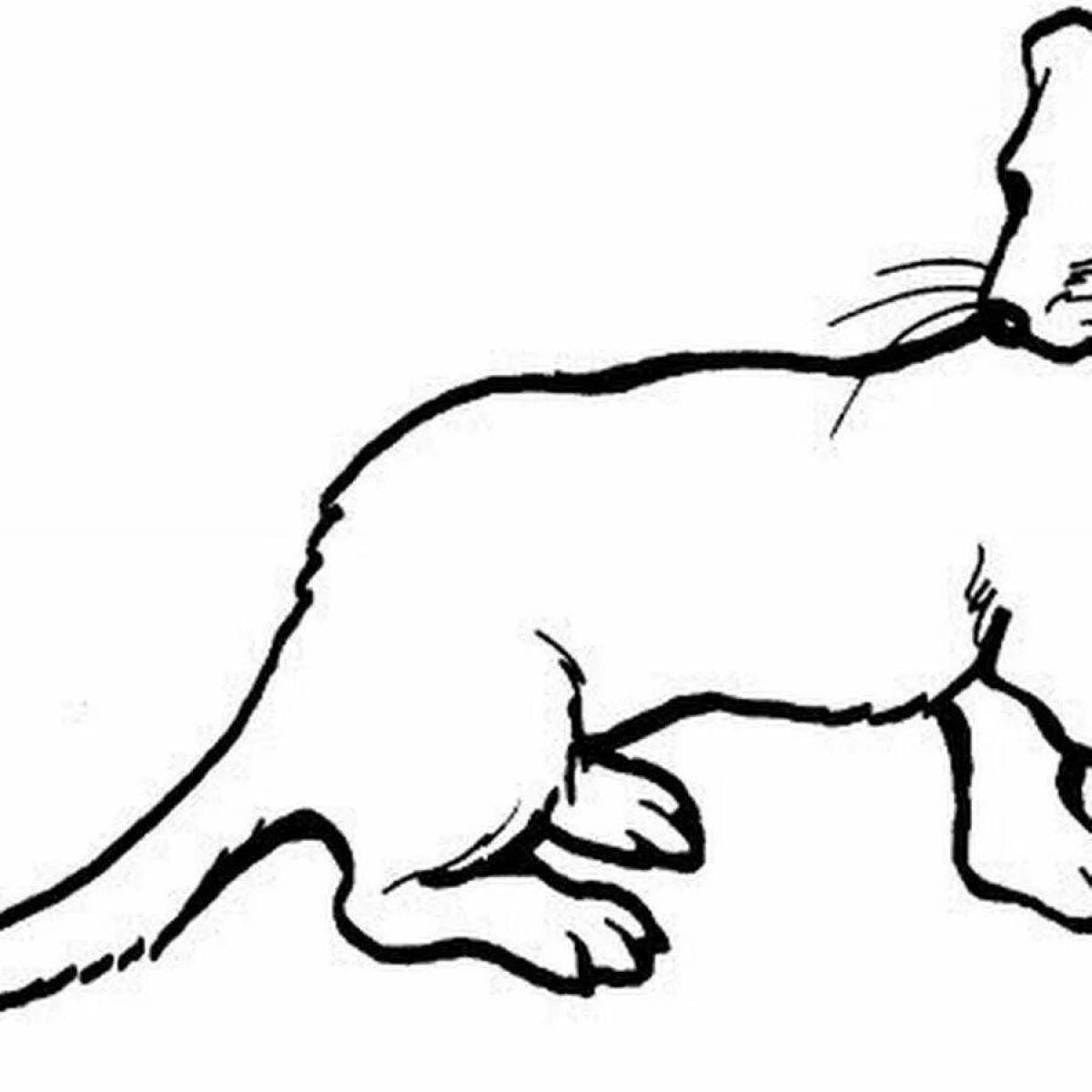 Blissful weasel coloring for kids