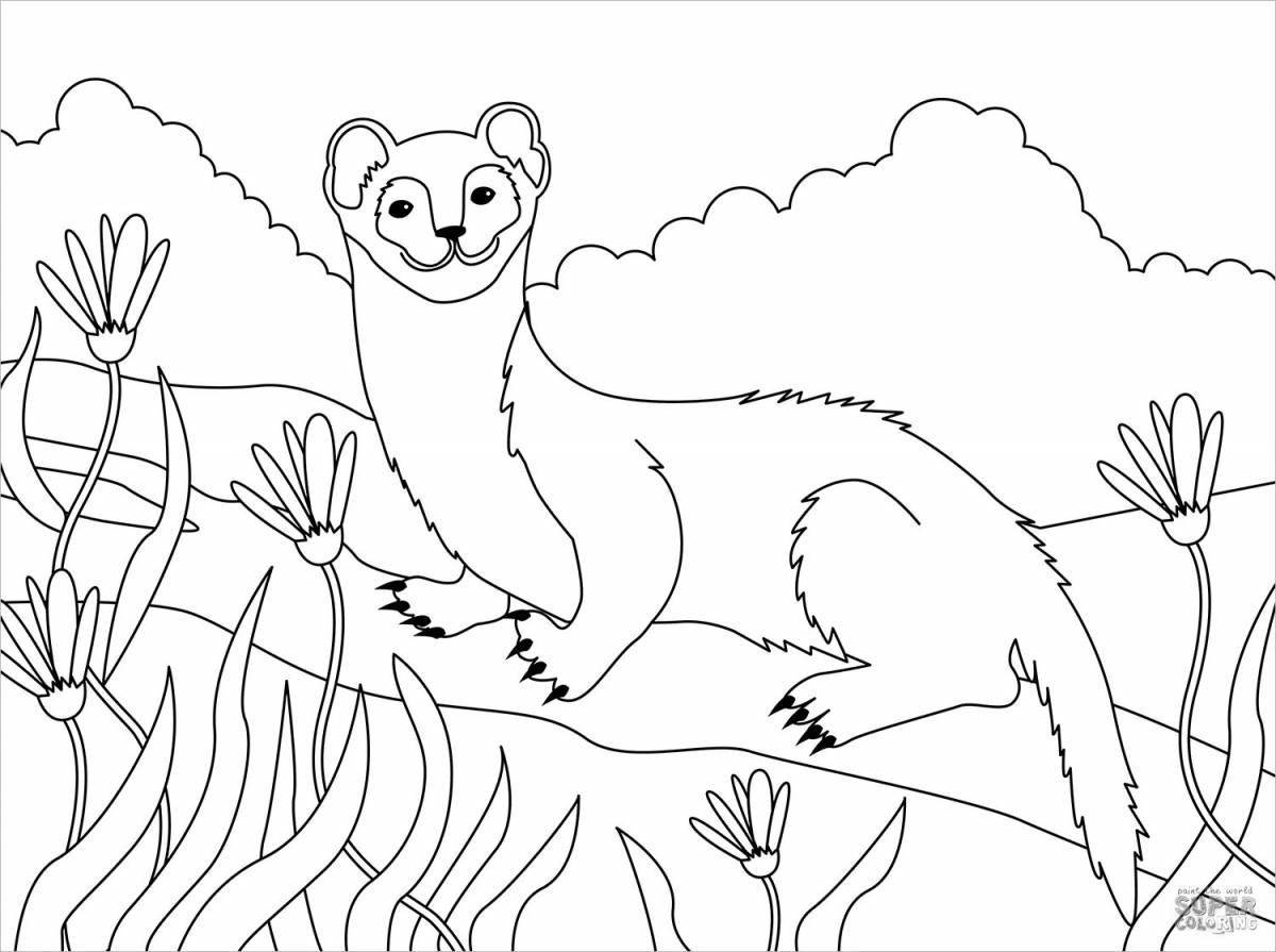 Colorful coloring weasel for children