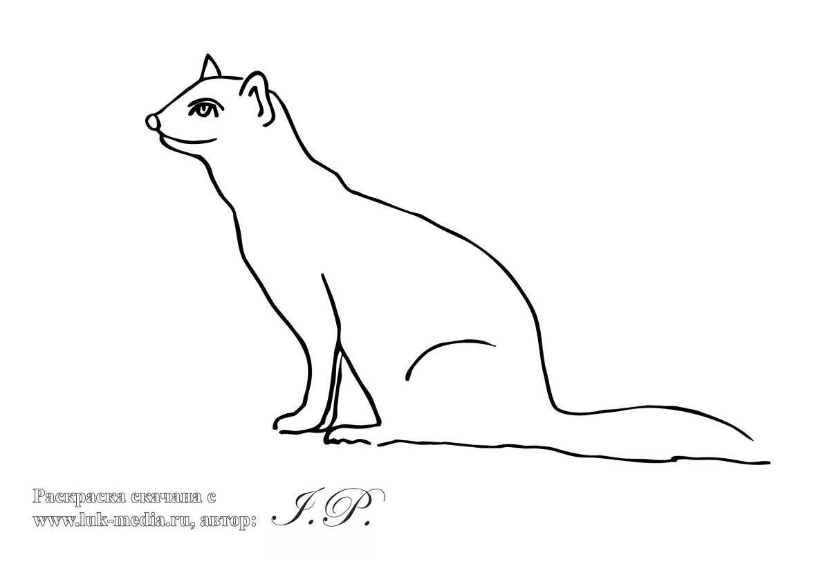 Weasel live coloring for children