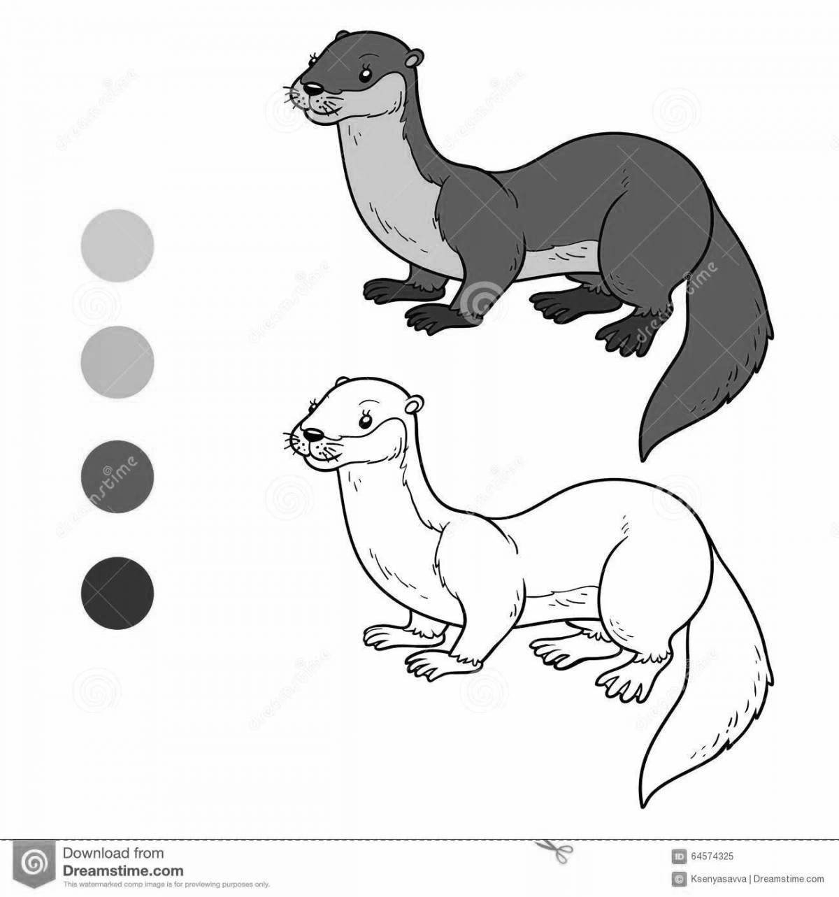 Fancy weasel coloring for kids