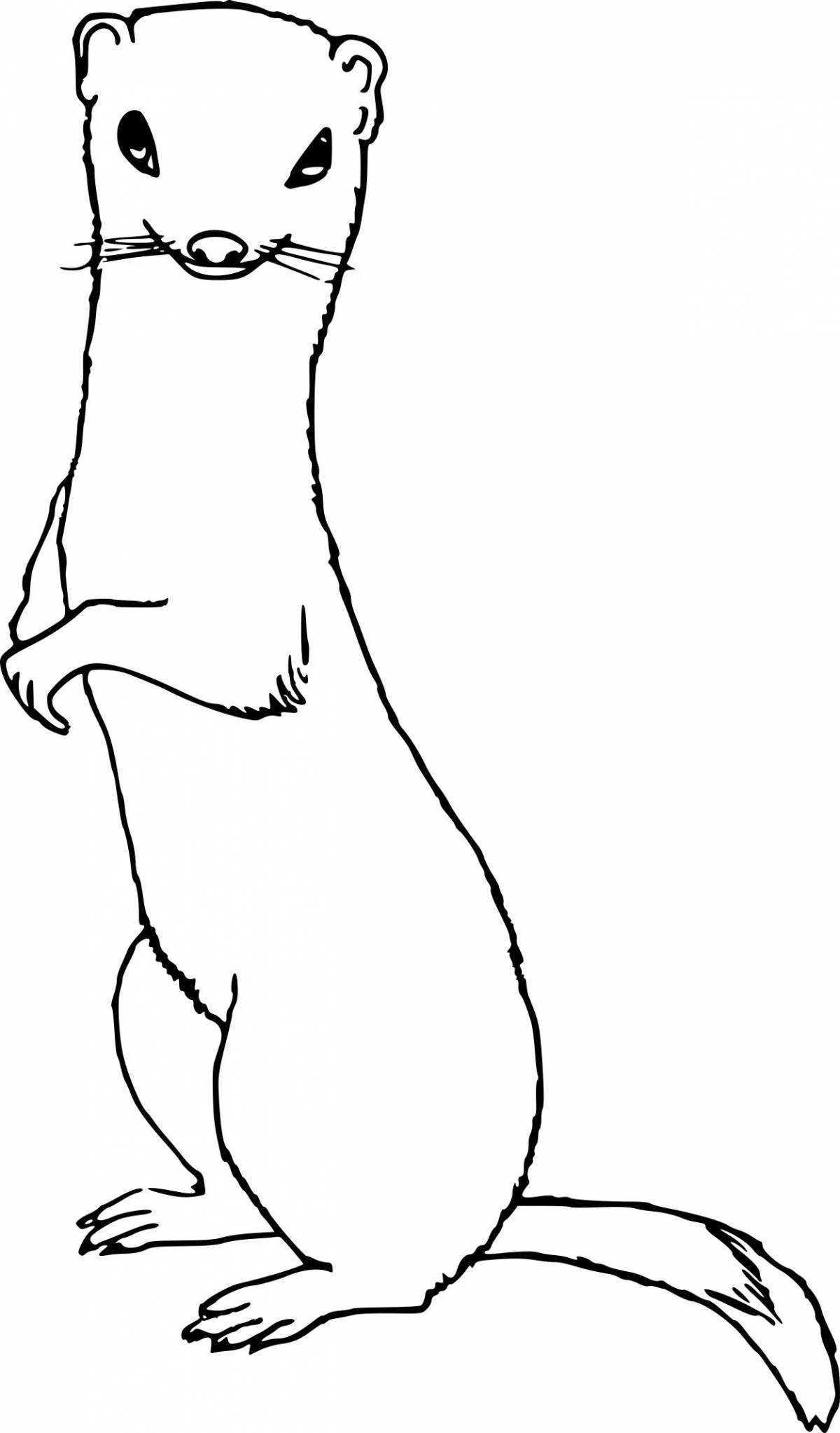 Majestic weasel coloring book for kids