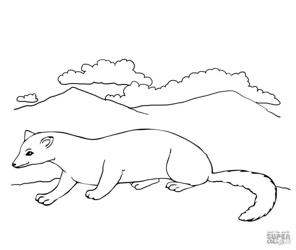 Incredible weasel coloring book for kids