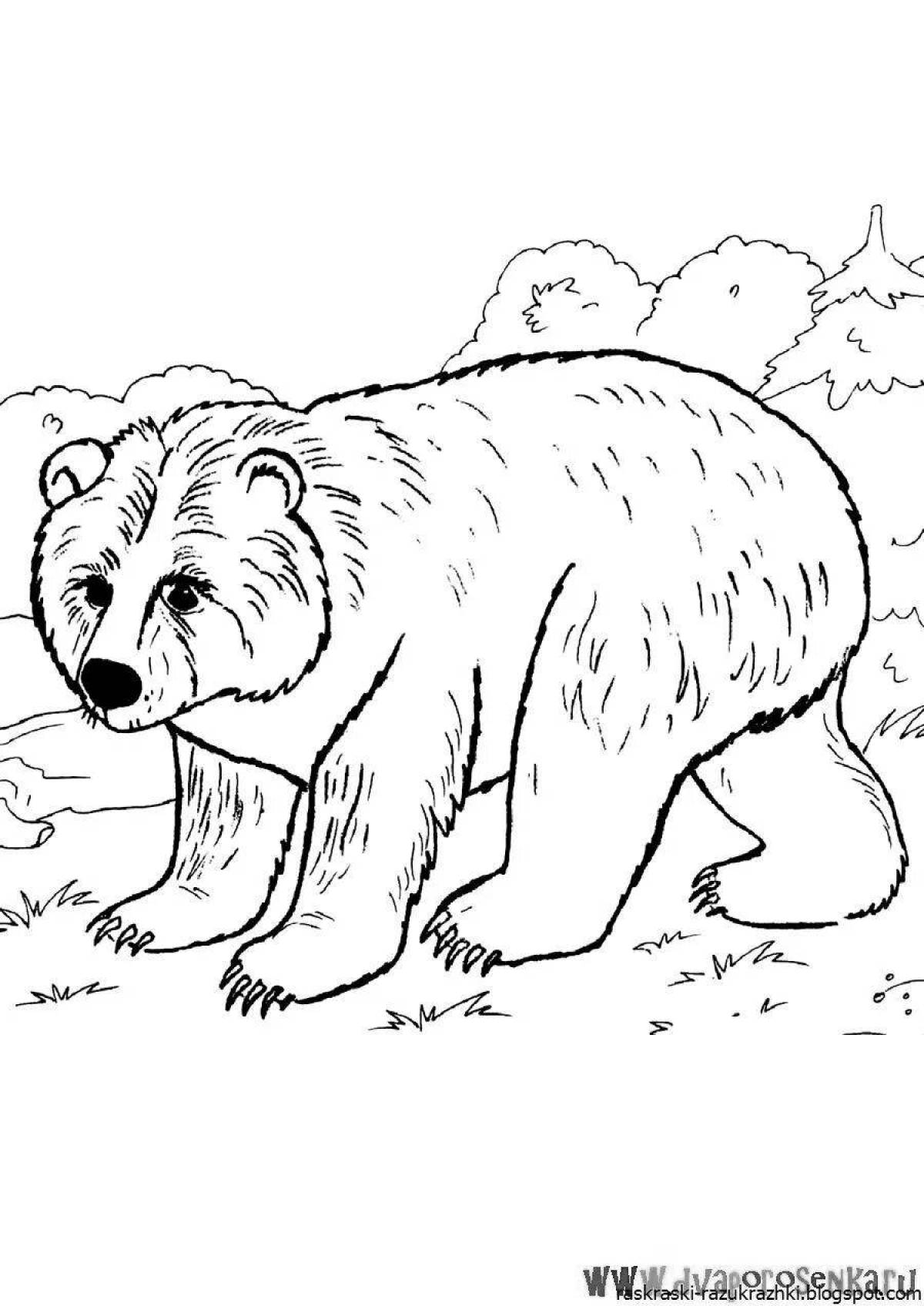 Fancy coloring bear for kids