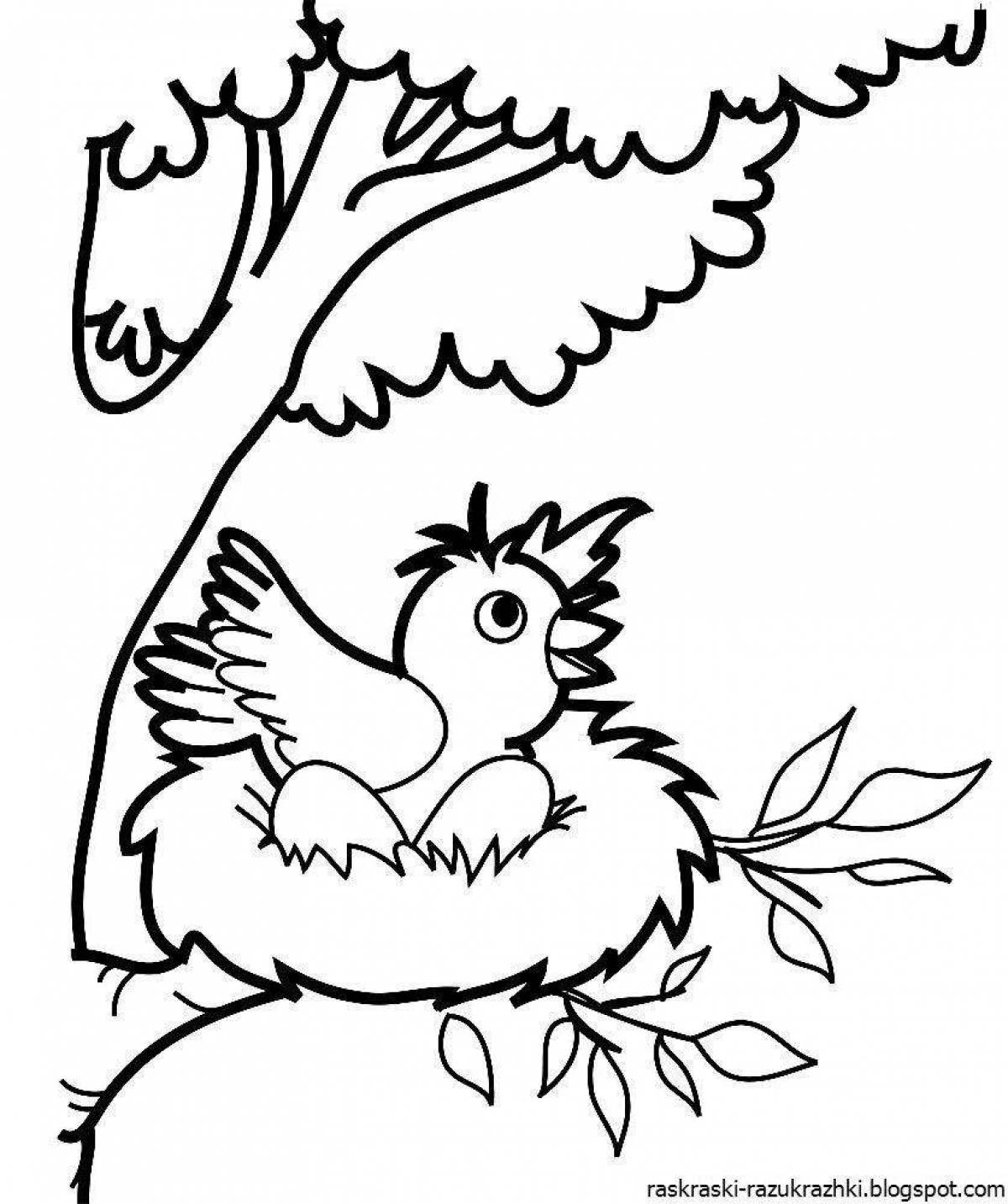 Fun coloring book with birds for 4-5 year olds