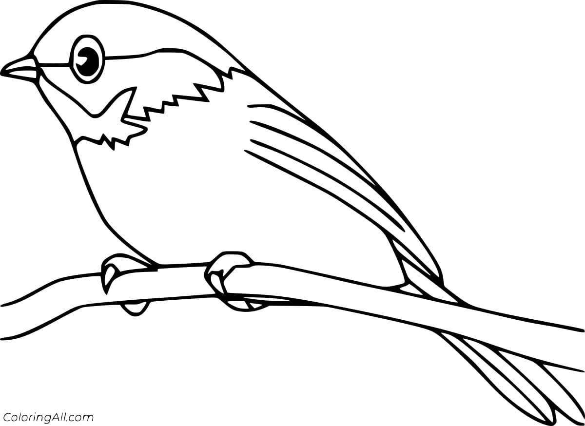 Очаровательная птичка-раскраска для детей 4-5 лет