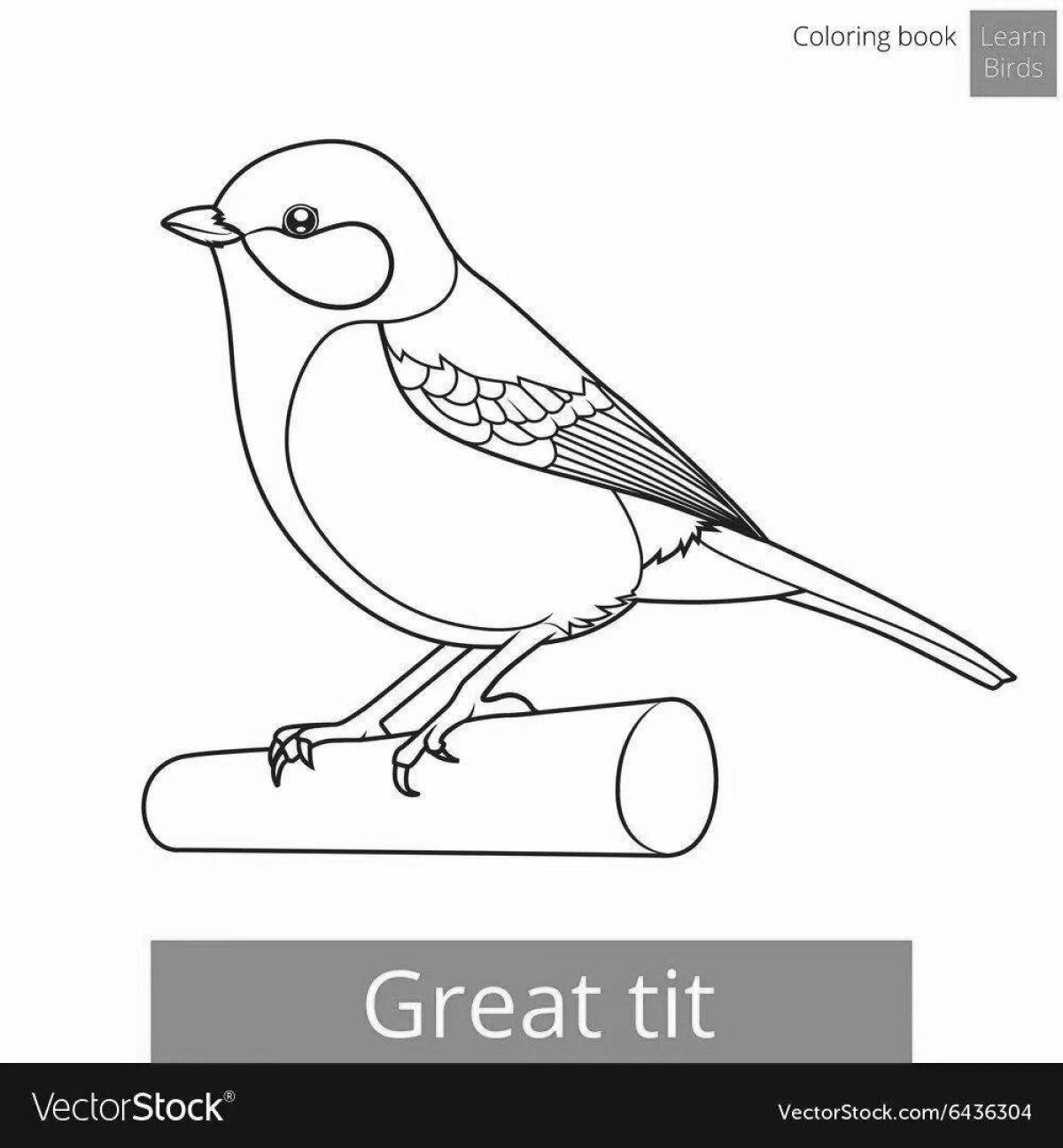 Coloring book calm tit, wintering bird