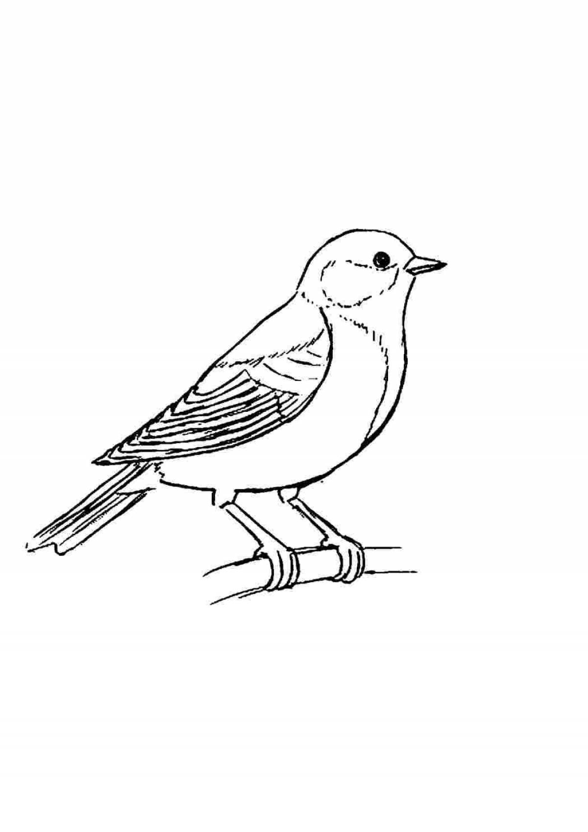 Coloring page blessed tit, wintering bird