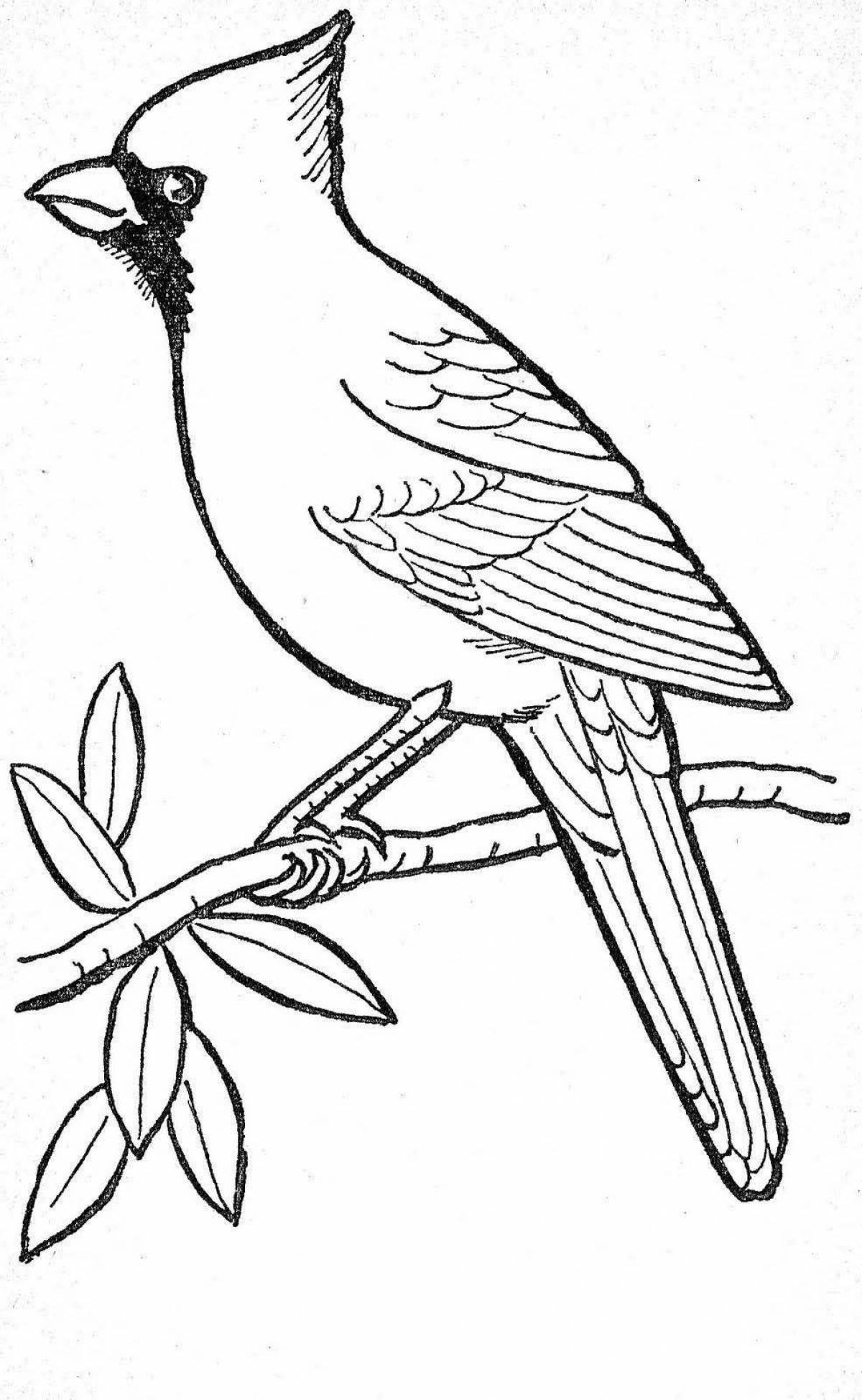 Vibrant waxwing coloring page for kids