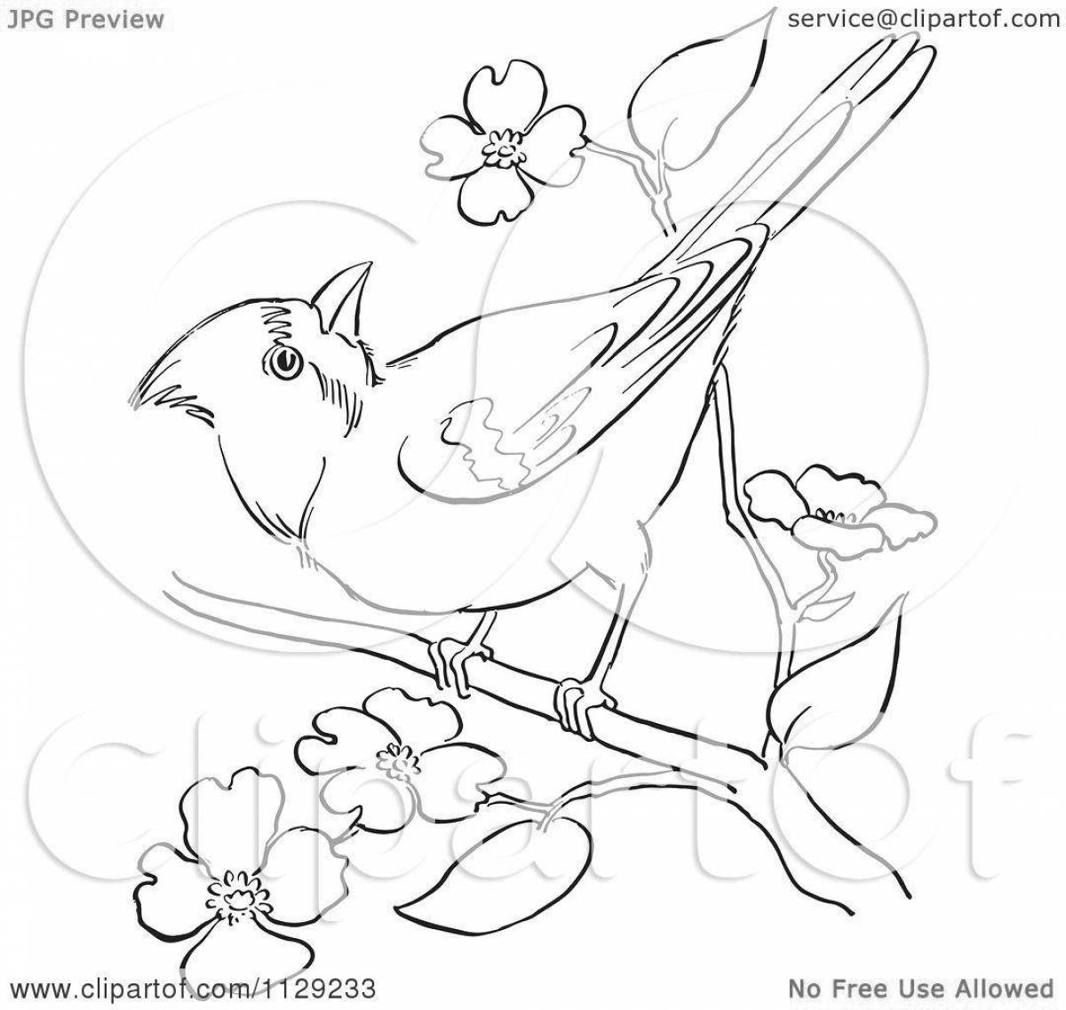 Funny waxwing coloring book for kids