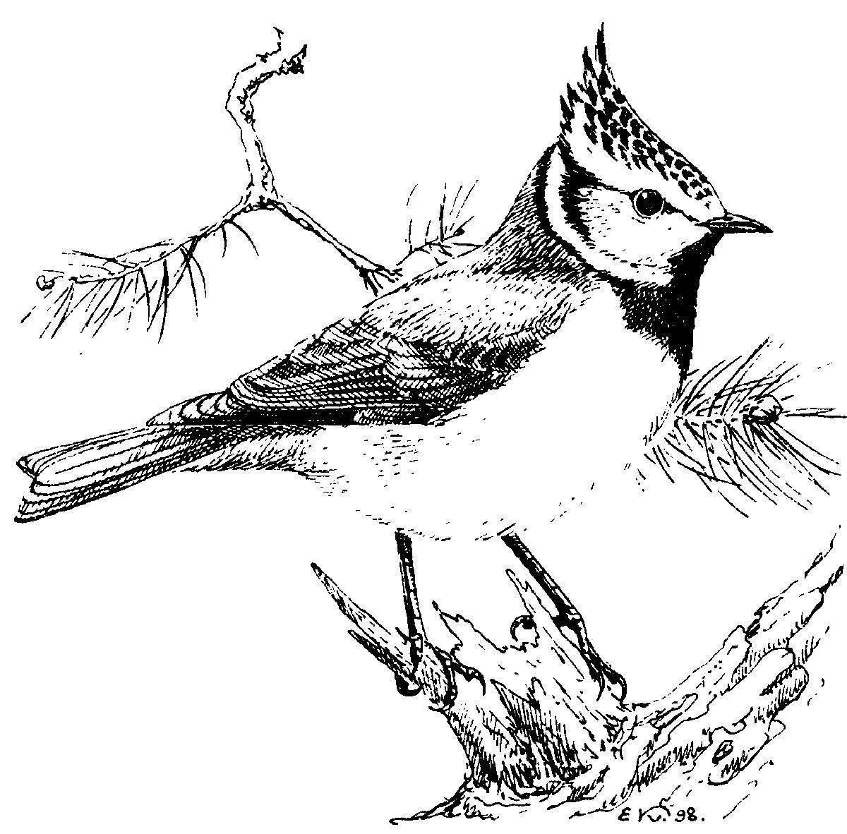 Playful waxwing coloring page for kids