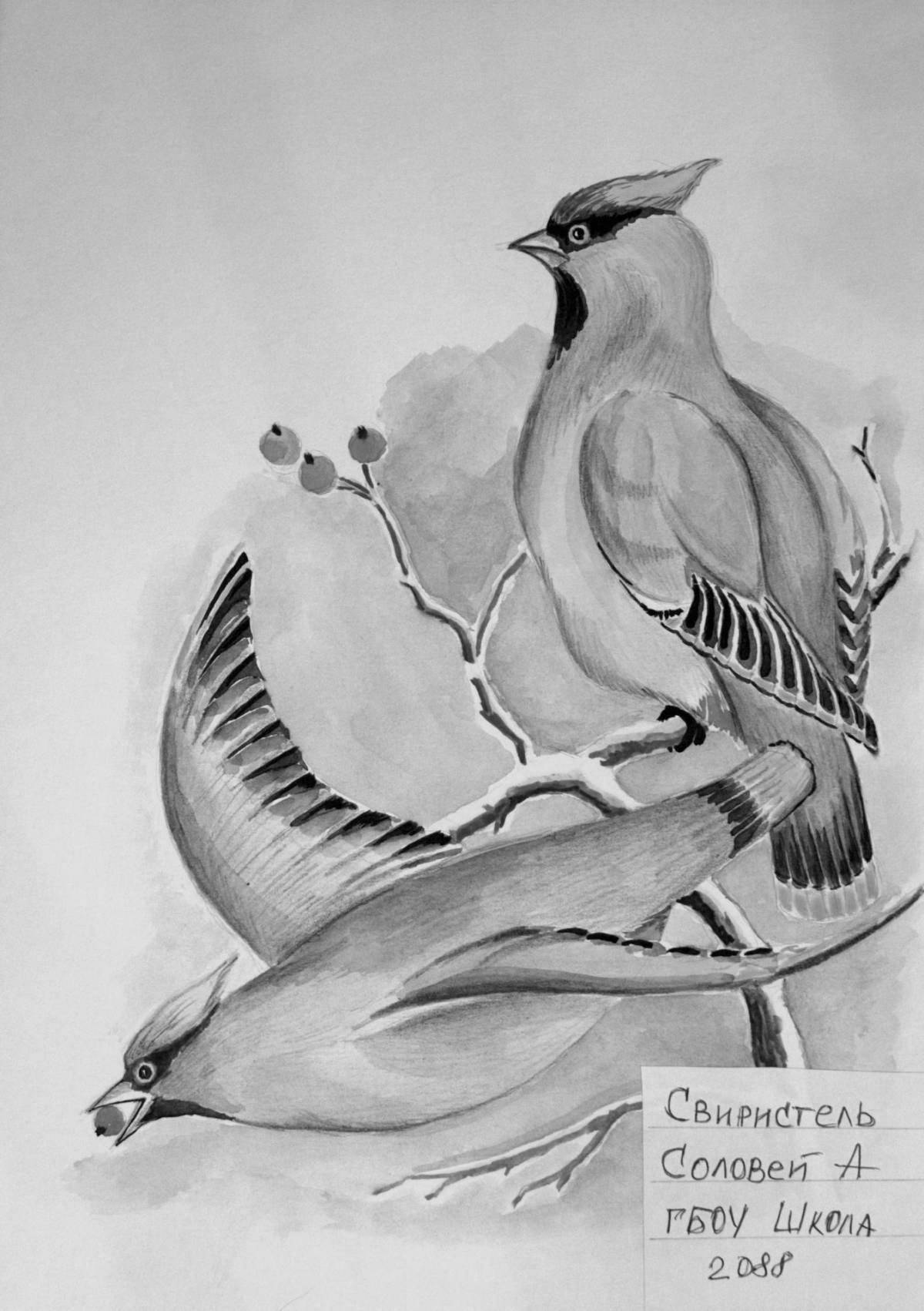 Exciting waxwing coloring book for kids