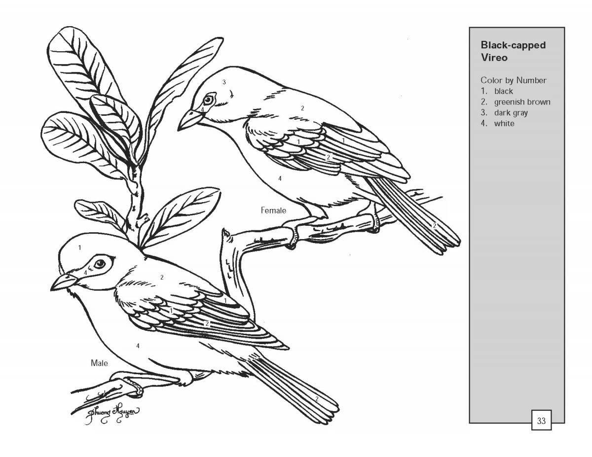 Fun coloring book waxwing for children