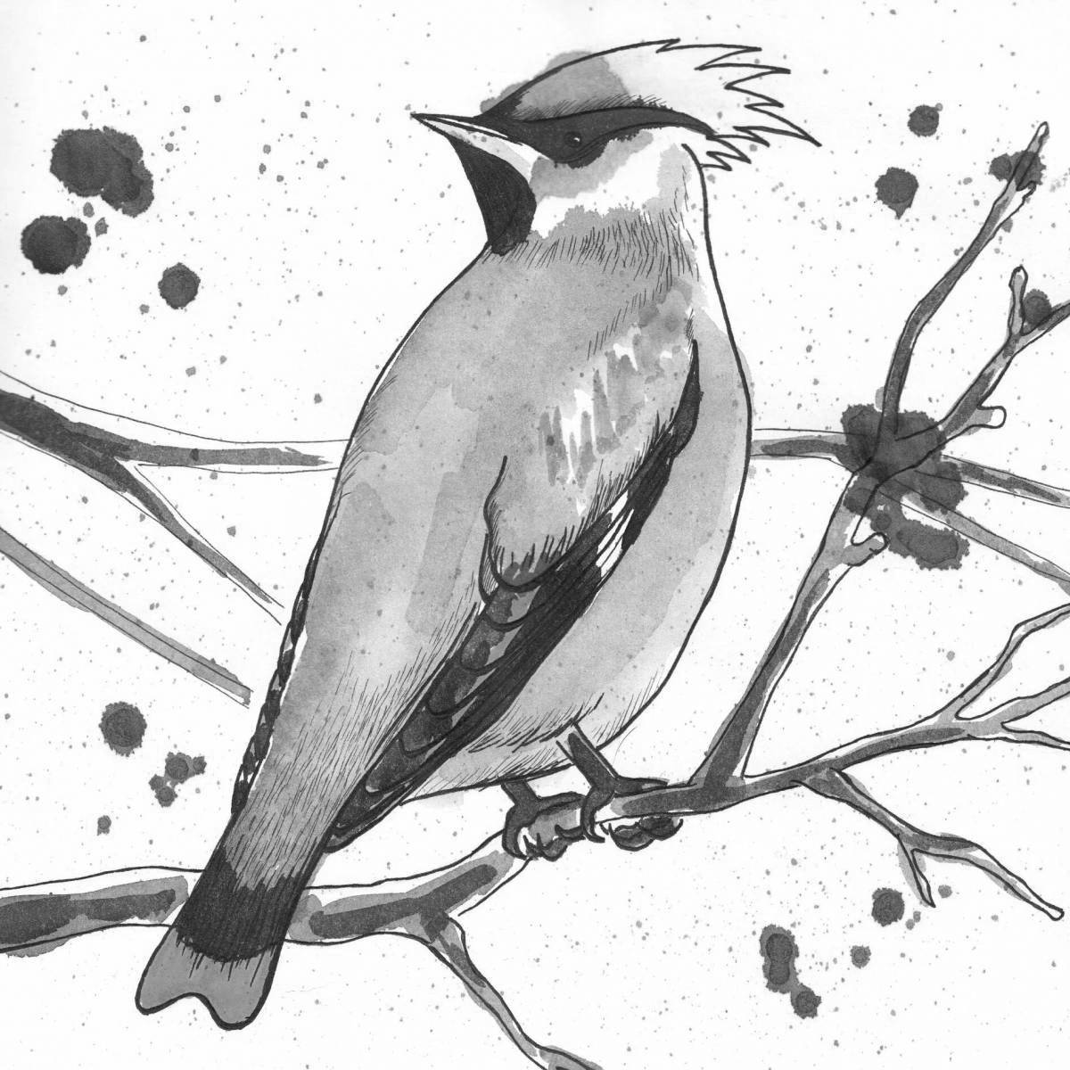 Animated waxwing coloring page for kids