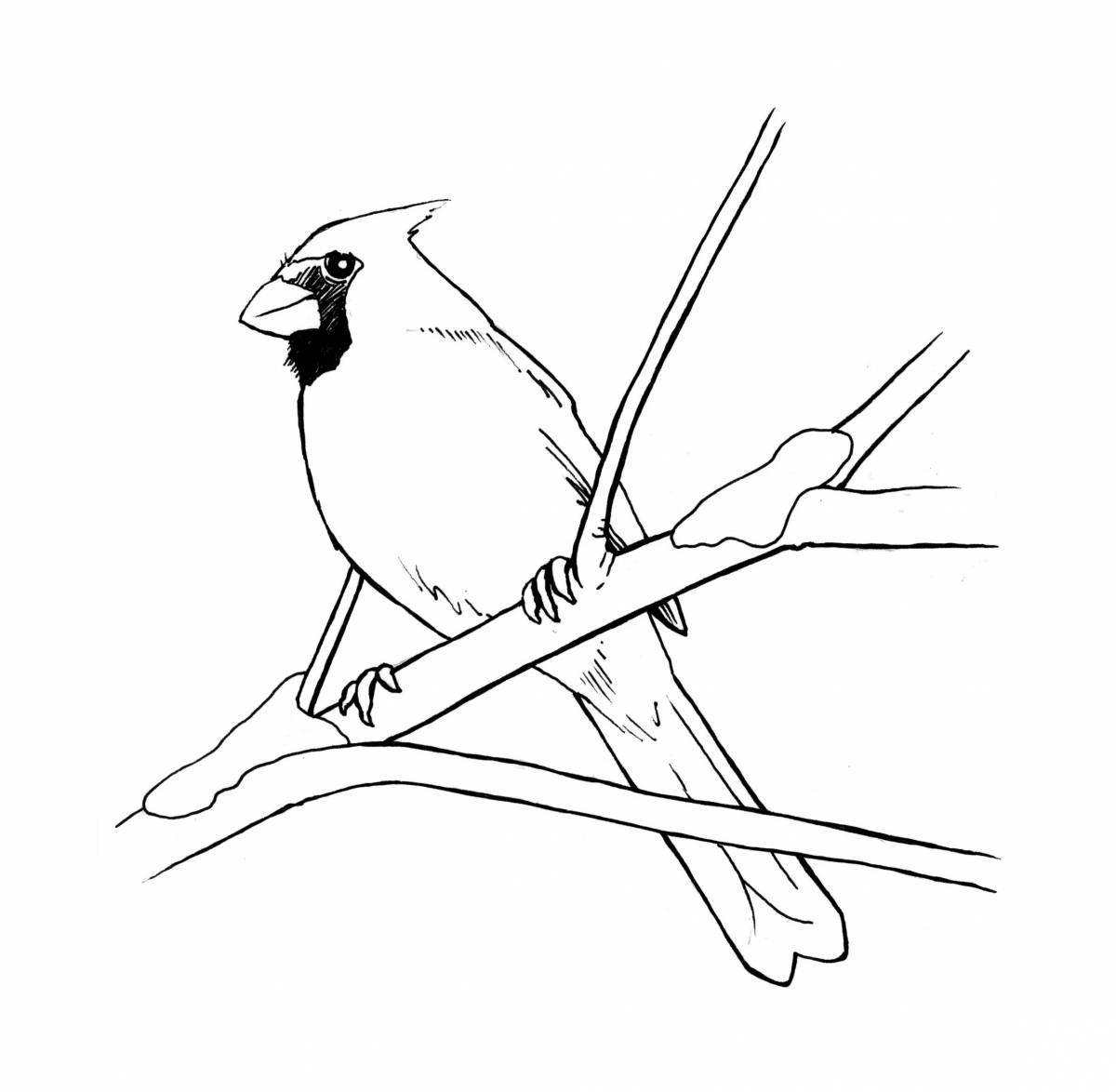 Playable waxwing coloring for kids