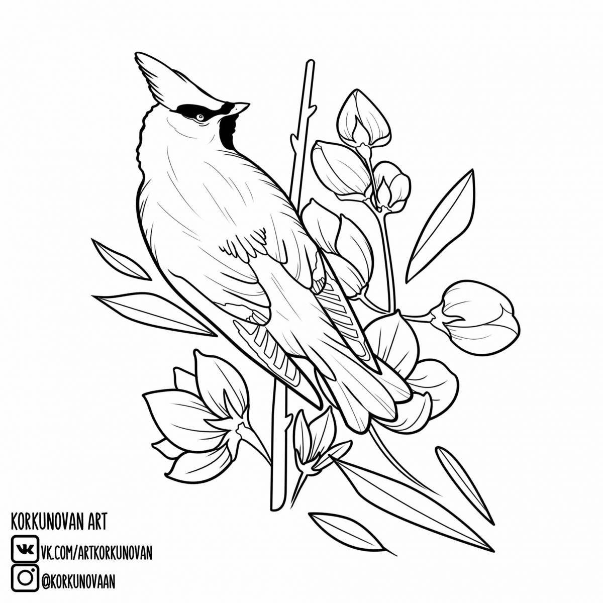 Fascinating waxwing coloring book for kids
