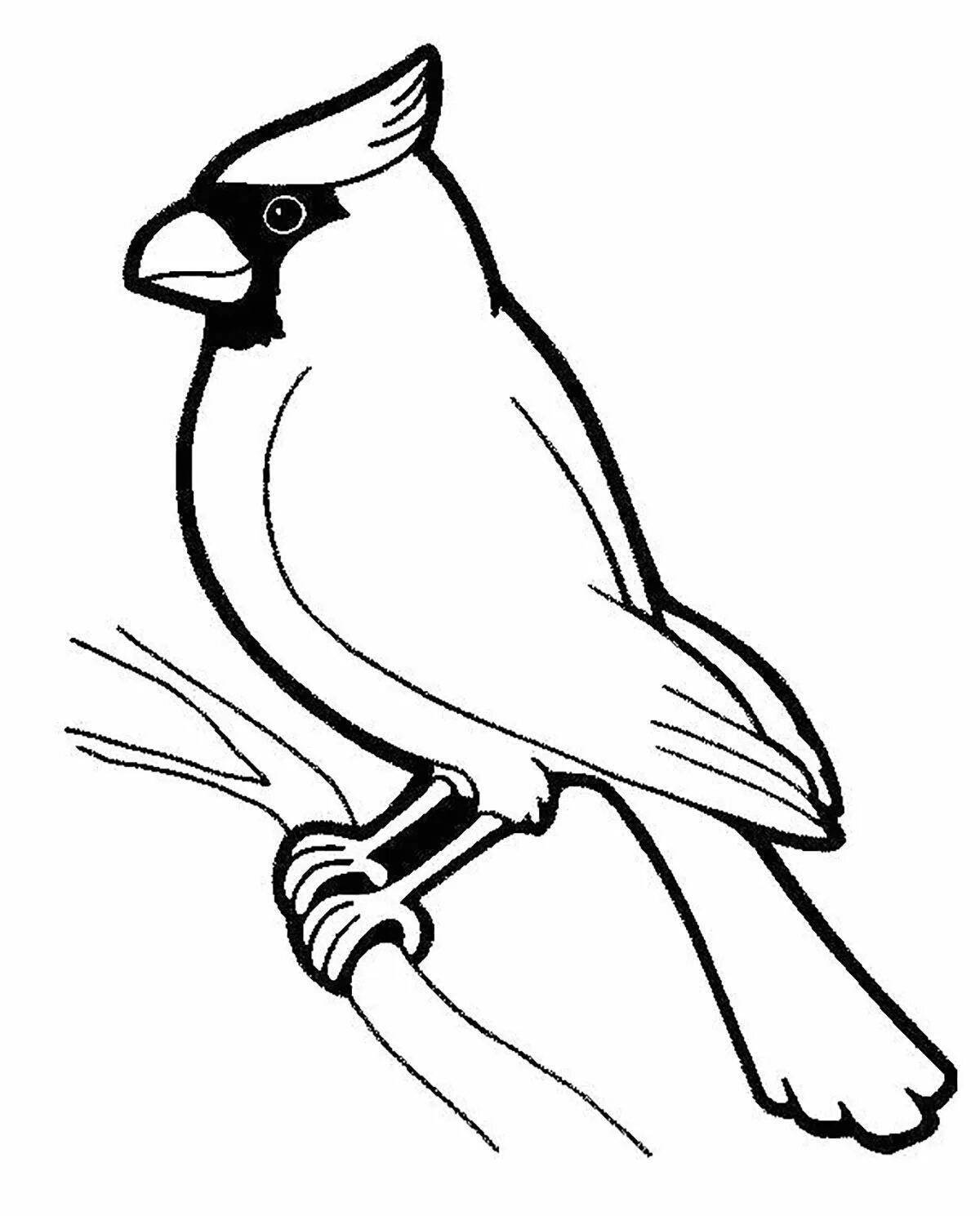 Magic waxwing coloring book for kids