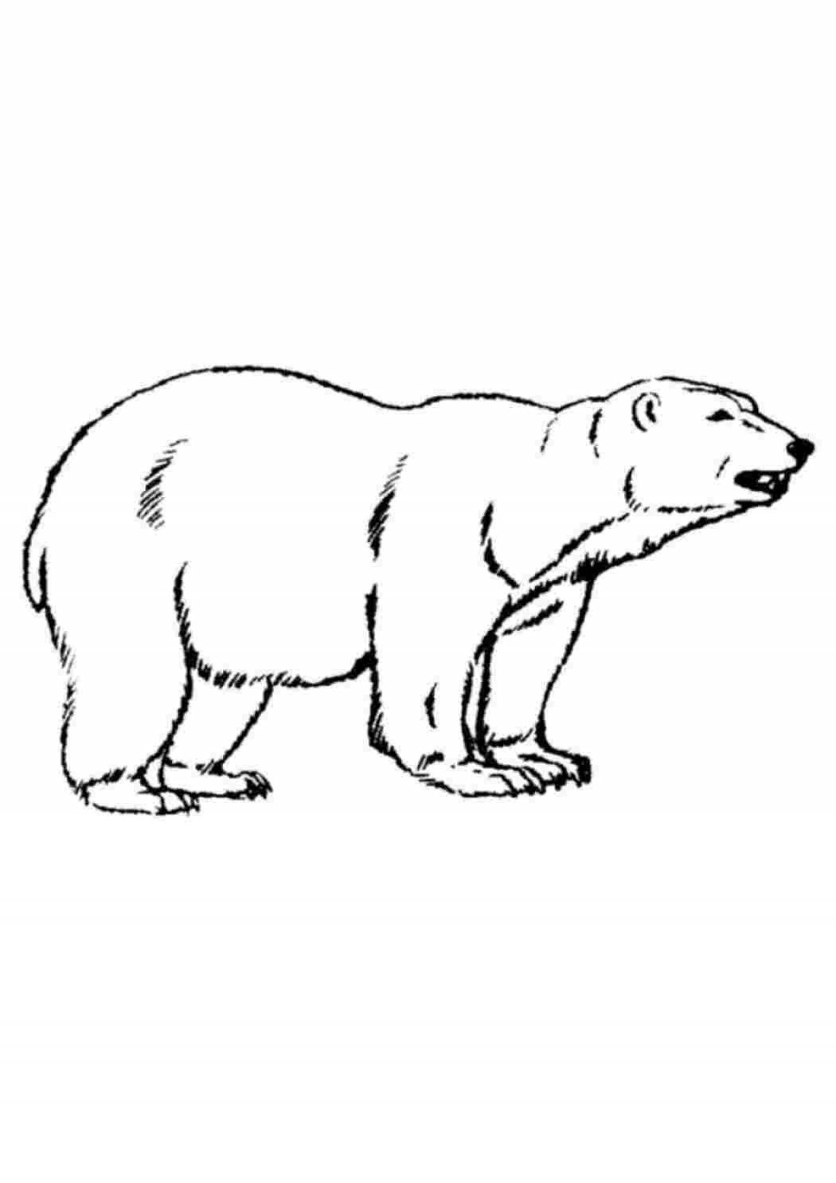 Изысканная раскраска белого медведя