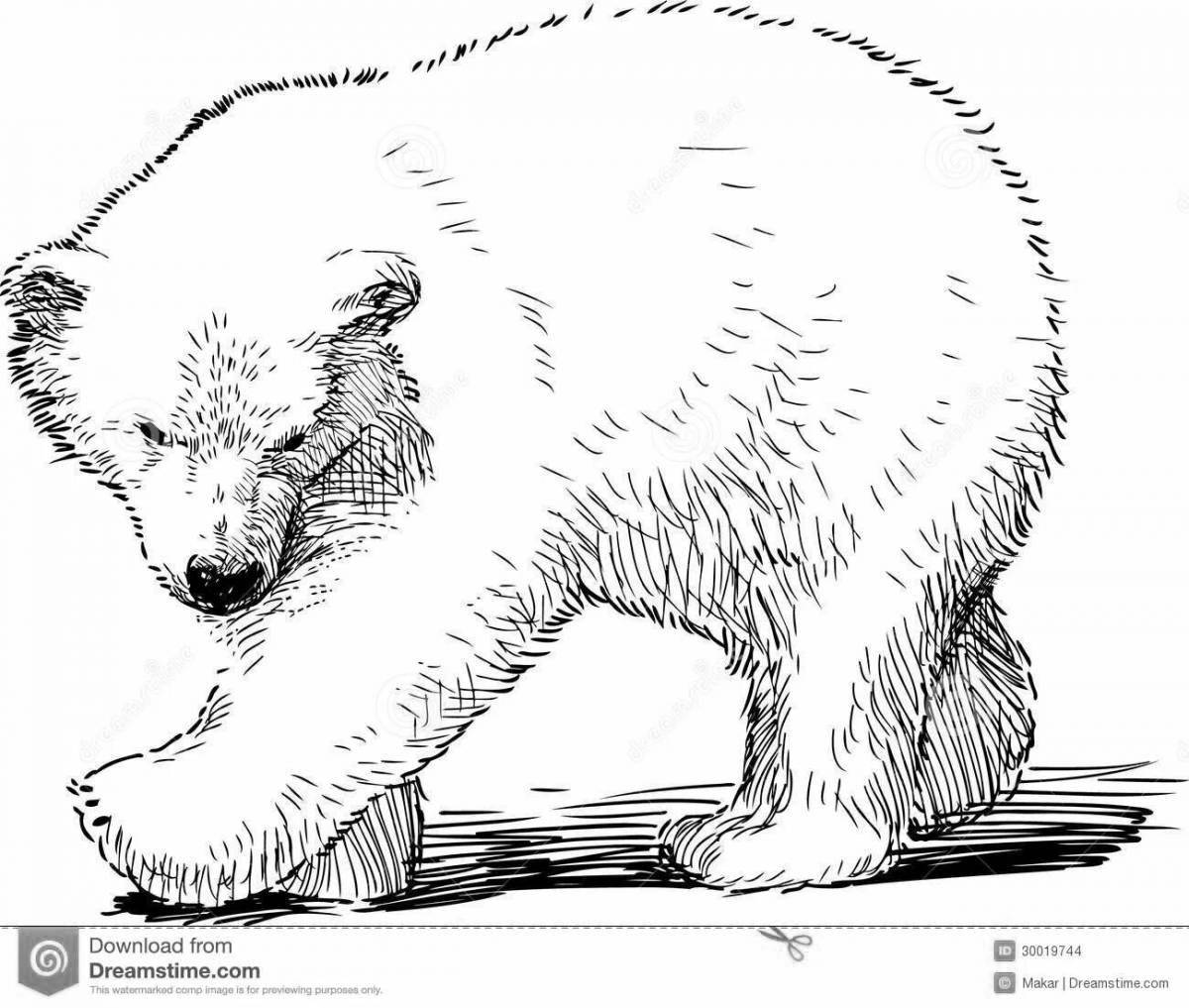 Раскраска светящийся белый медведь