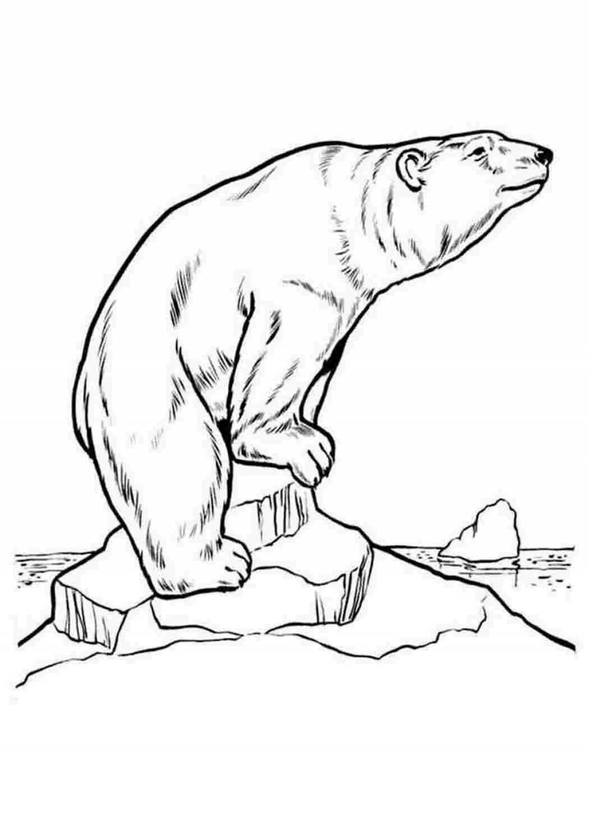 Coloring book luxury polar bear