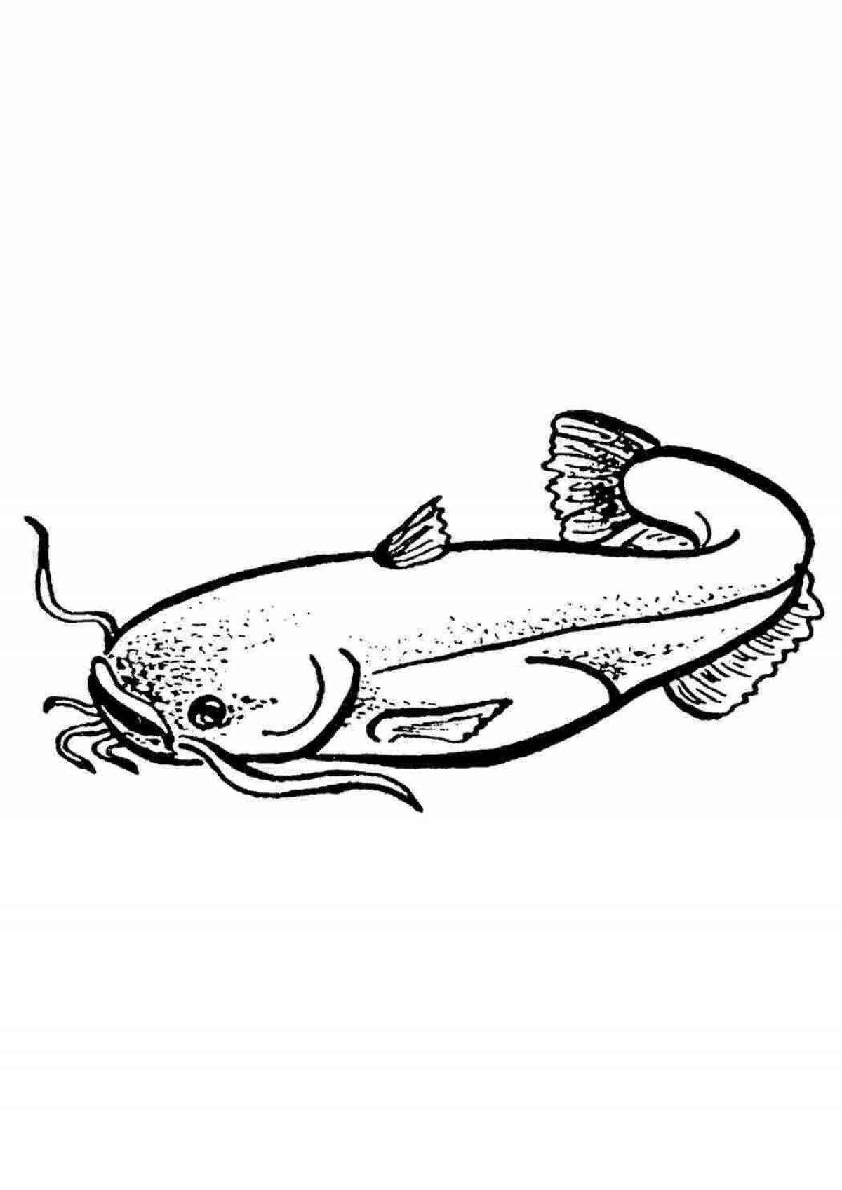 Outstanding catfish coloring page for the little ones