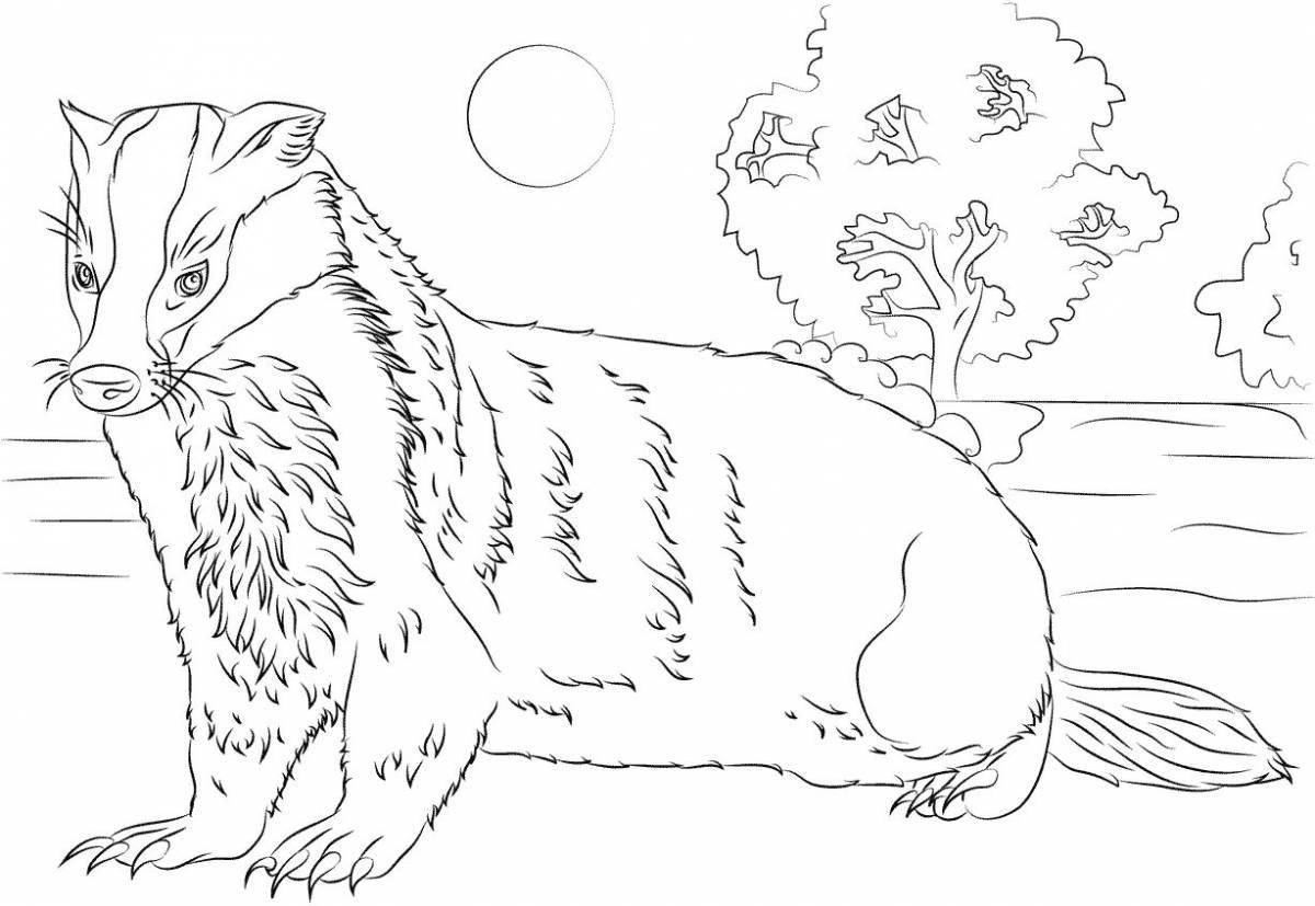 Colorful badger coloring book for kids