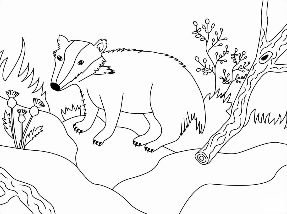 Adorable badger coloring book for kids