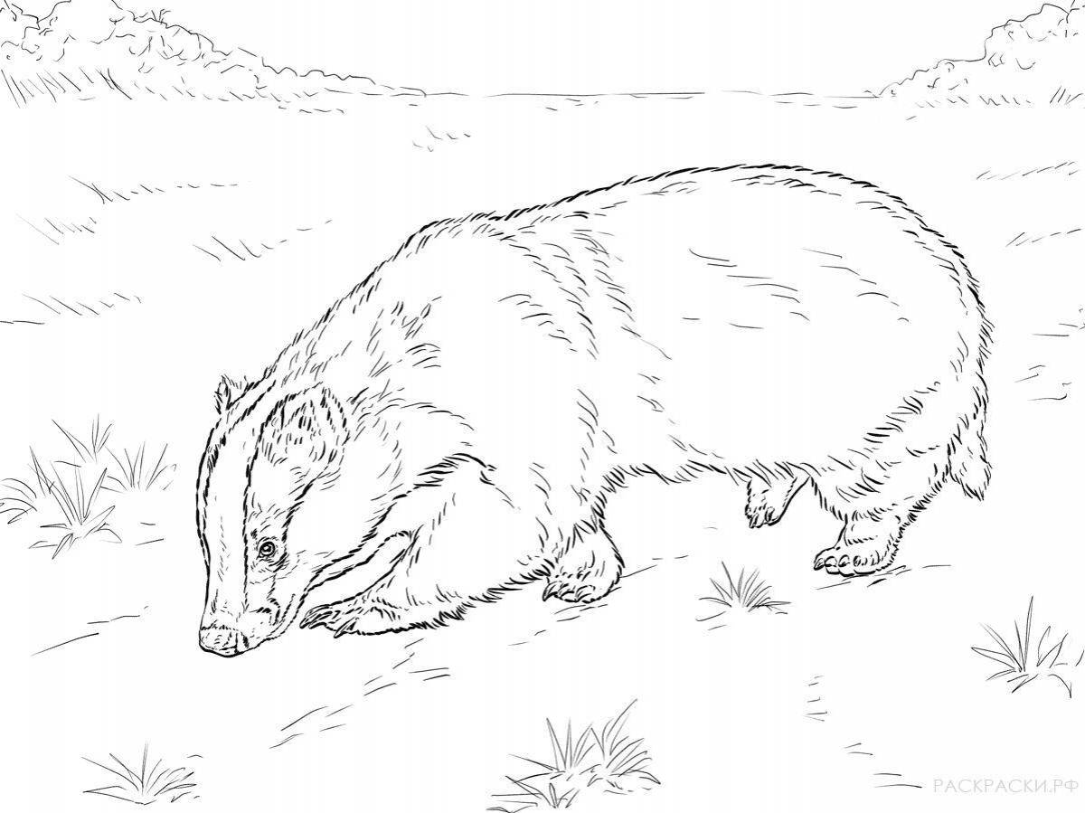 Joyful badger coloring book for kids