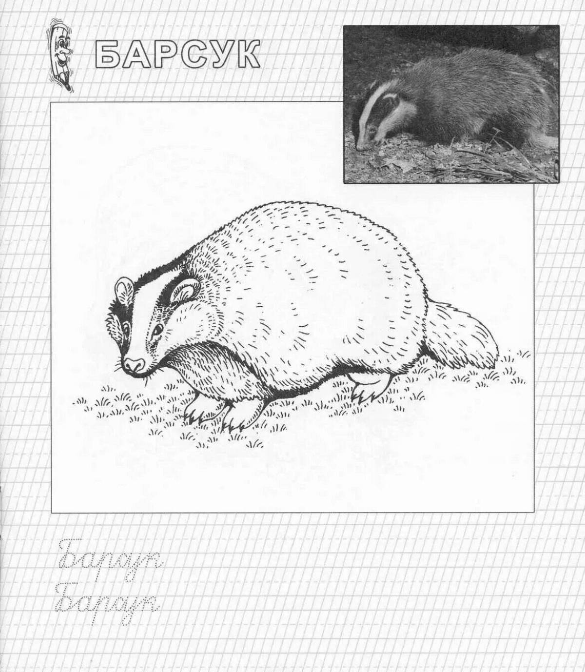 Fancy badger coloring for kids