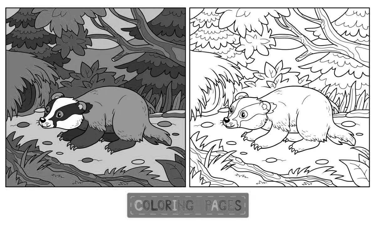 Fantastic badger coloring book for kids