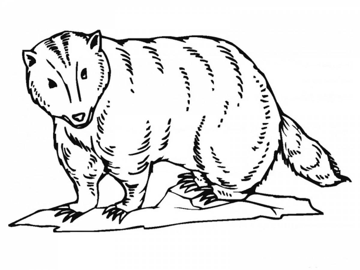 Great badger coloring book for kids