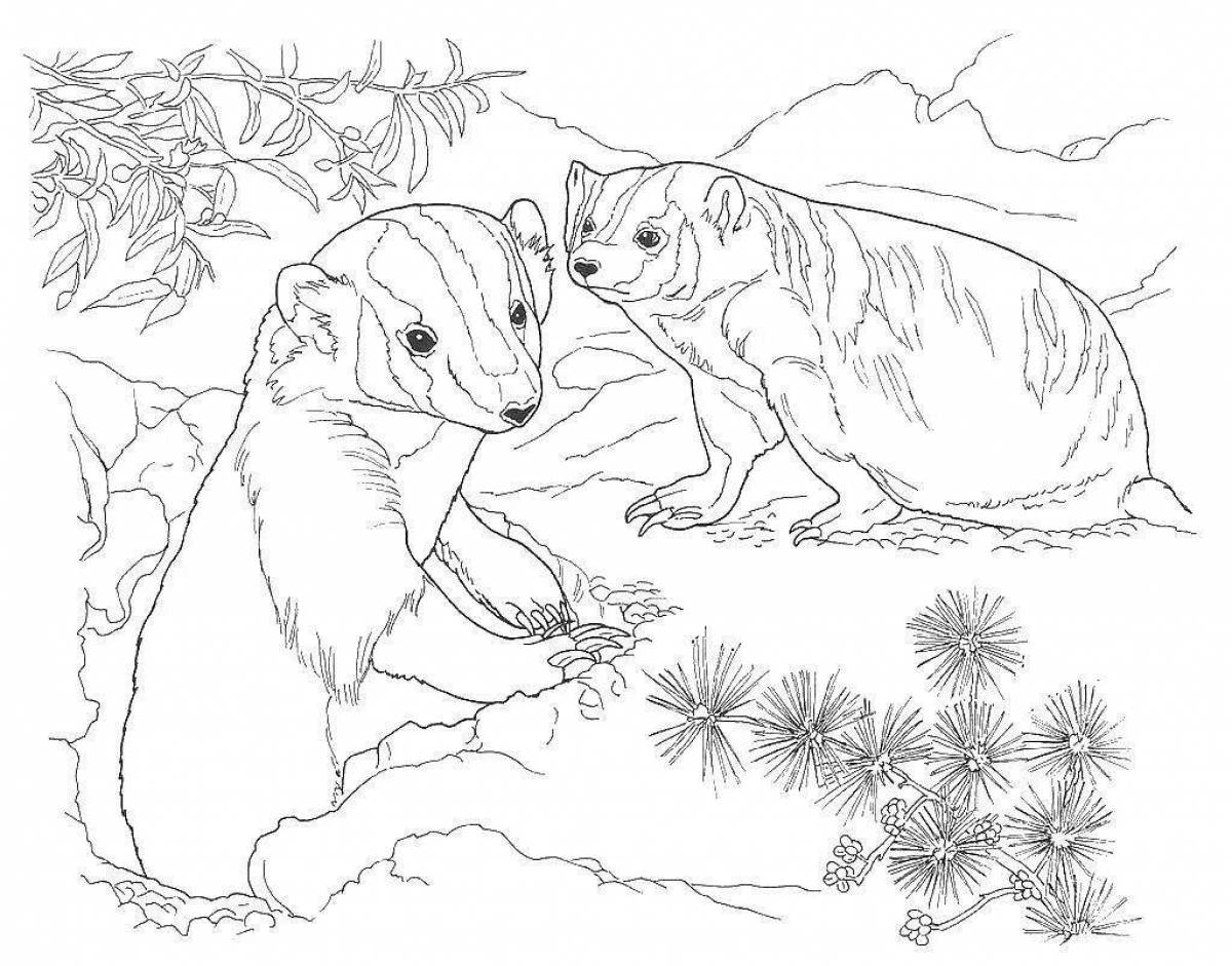 Adorable badger coloring page for kids