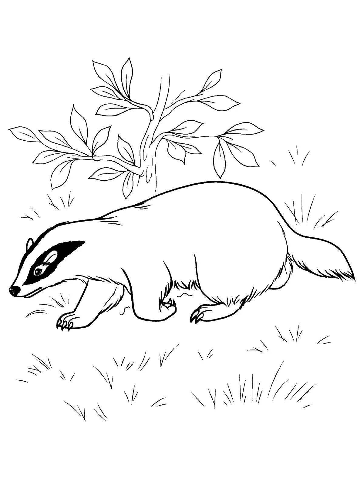 Adorable badger coloring book for kids