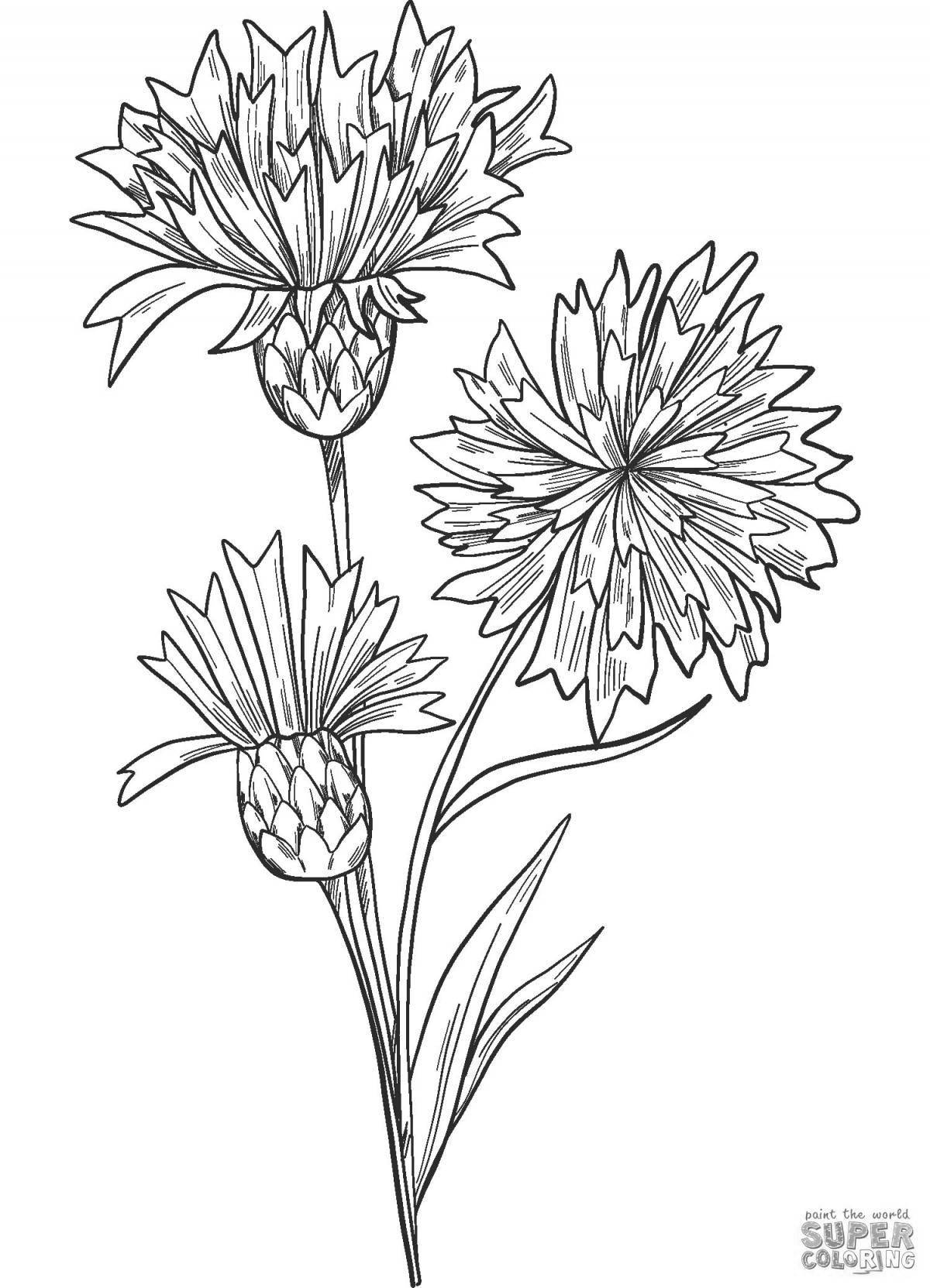 Bright coloring cornflower for the little ones