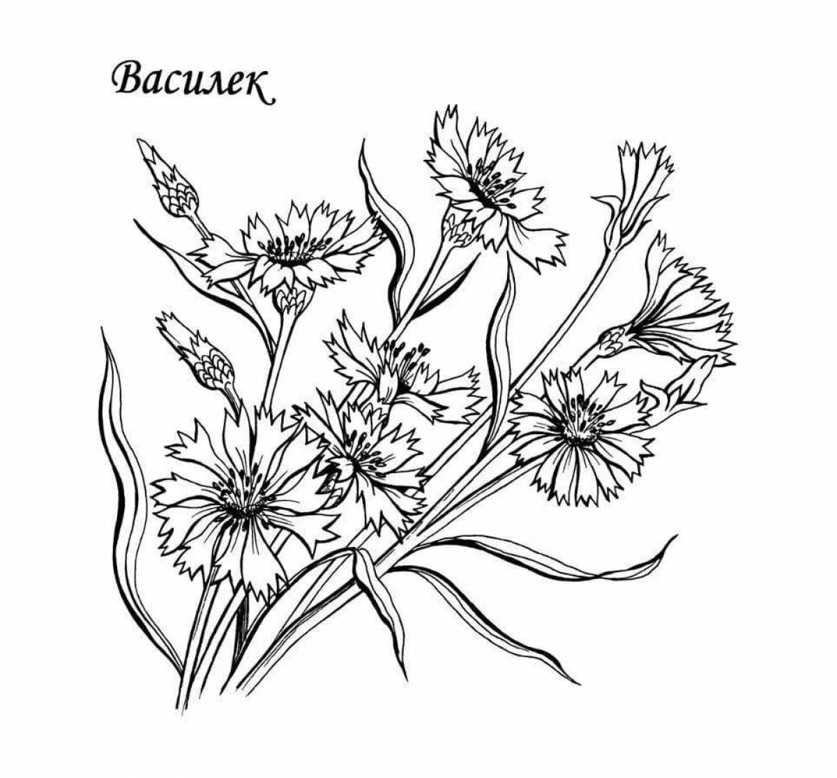 Cornflower playful coloring page for toddlers