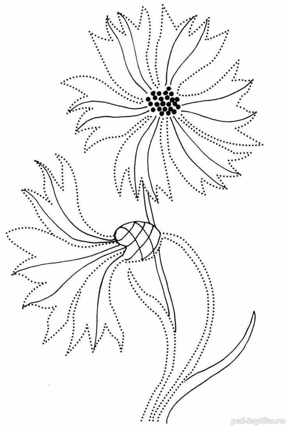 Sunny cornflower coloring book for babies