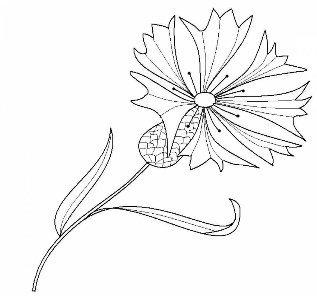 Sparkling Cornflower Coloring Page for Toddlers